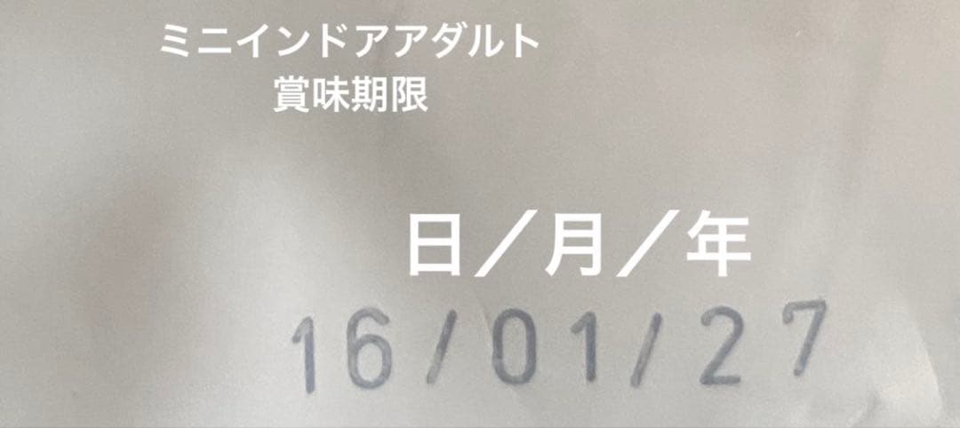 ロイヤルカナン　ミニインドアアダルト　10kg×2袋