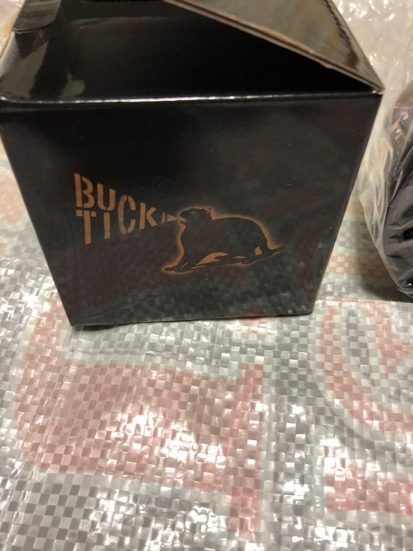 buck-tick スノードーム