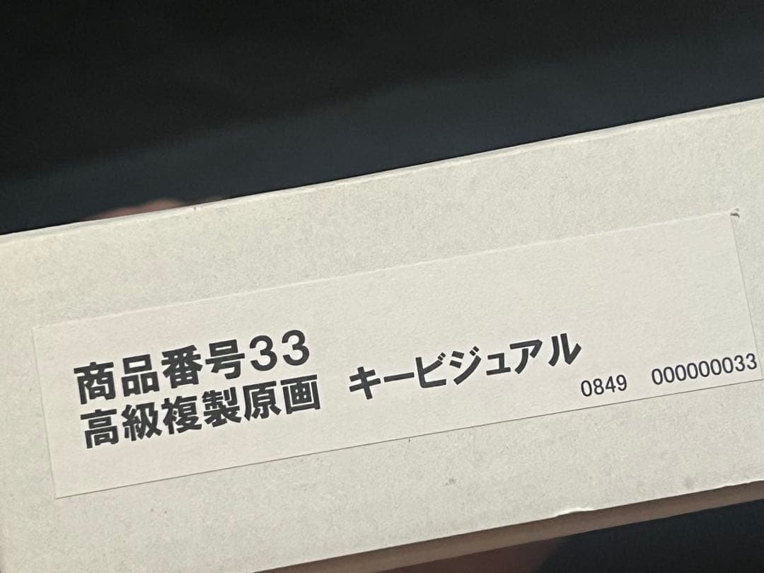2012ワンピース展 大阪 高級複製原画 尾田栄一郎描き下ろしキービジュアル