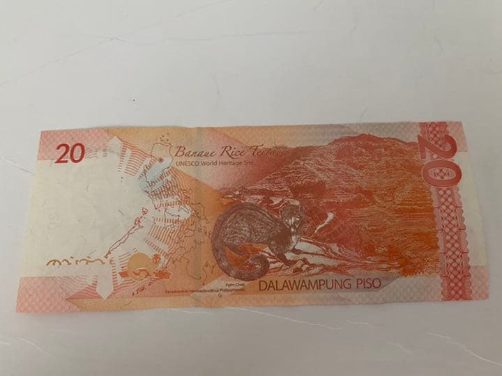 印刷エラー　フィリピン20ペソ札と財布