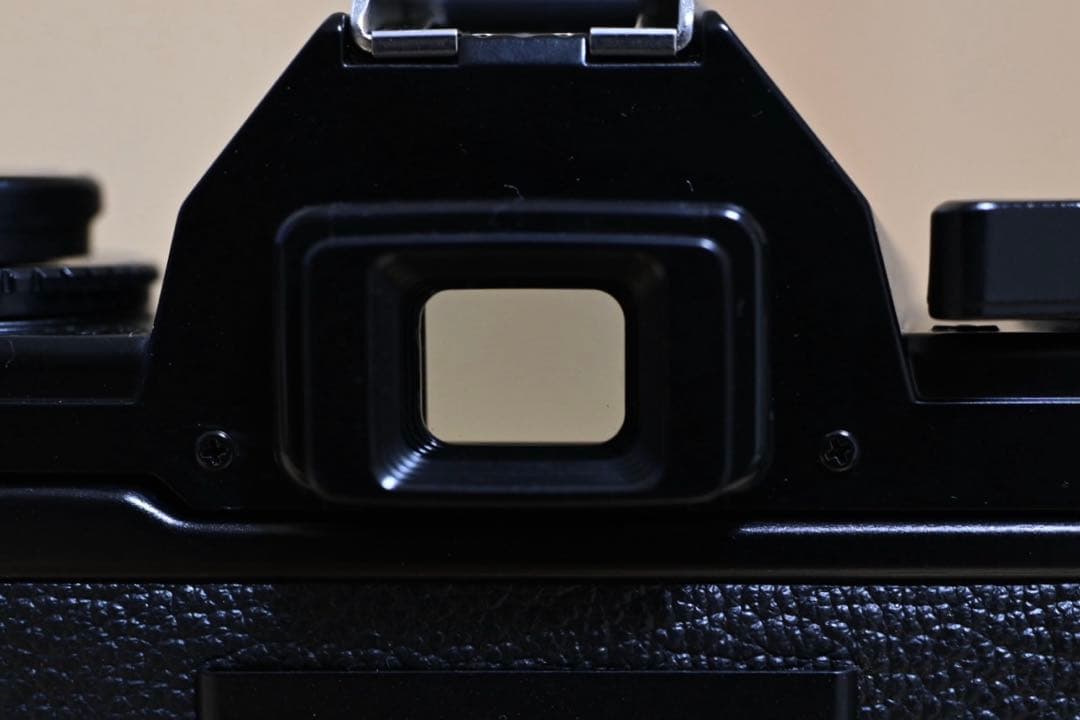 Nikon EM 一眼レフフィルムカメラ レンズ付き