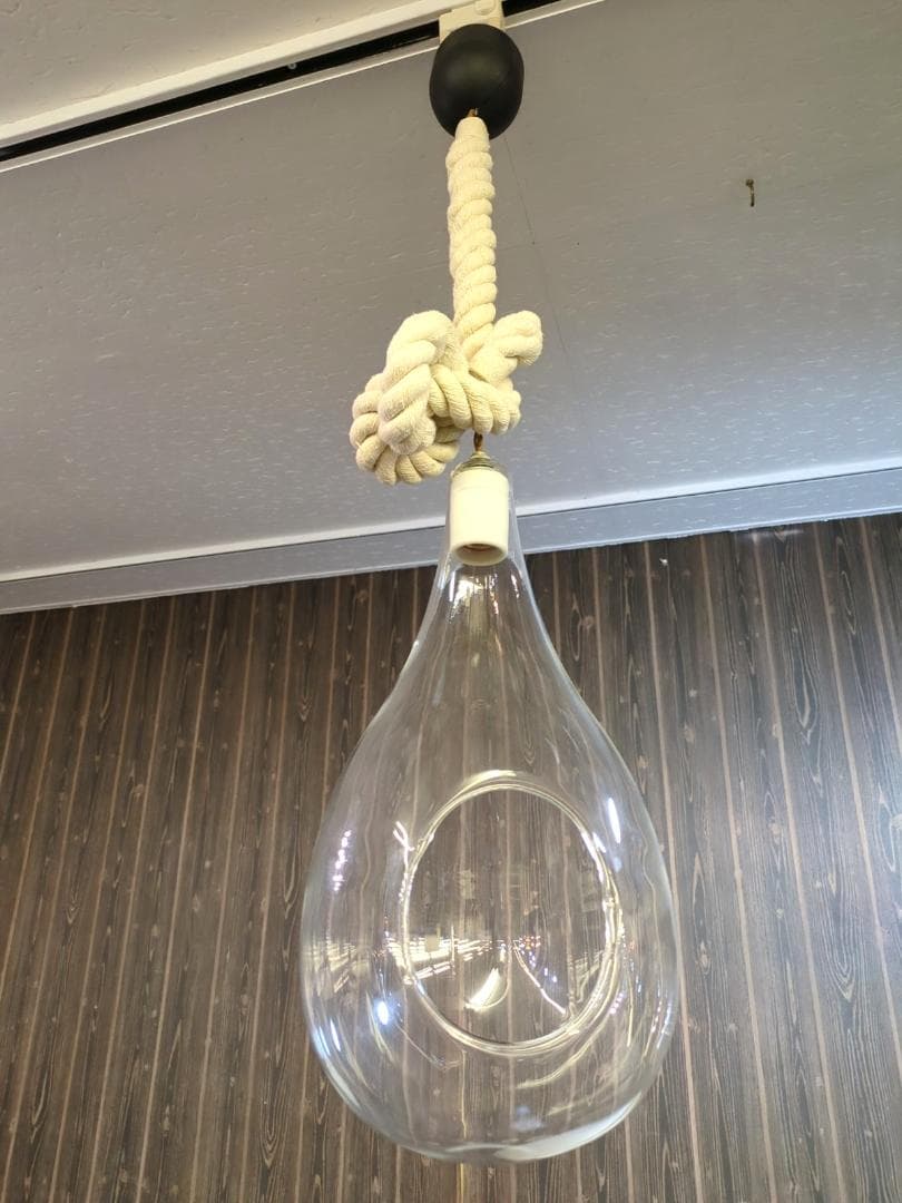 〈即購入可・現状渡し〉ボタニックライト ハンギング ライト 点灯確認済 電球無