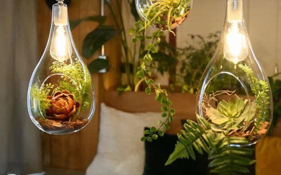 〈即購入可・現状渡し〉ボタニックライト ハンギング ライト 点灯確認済 電球無