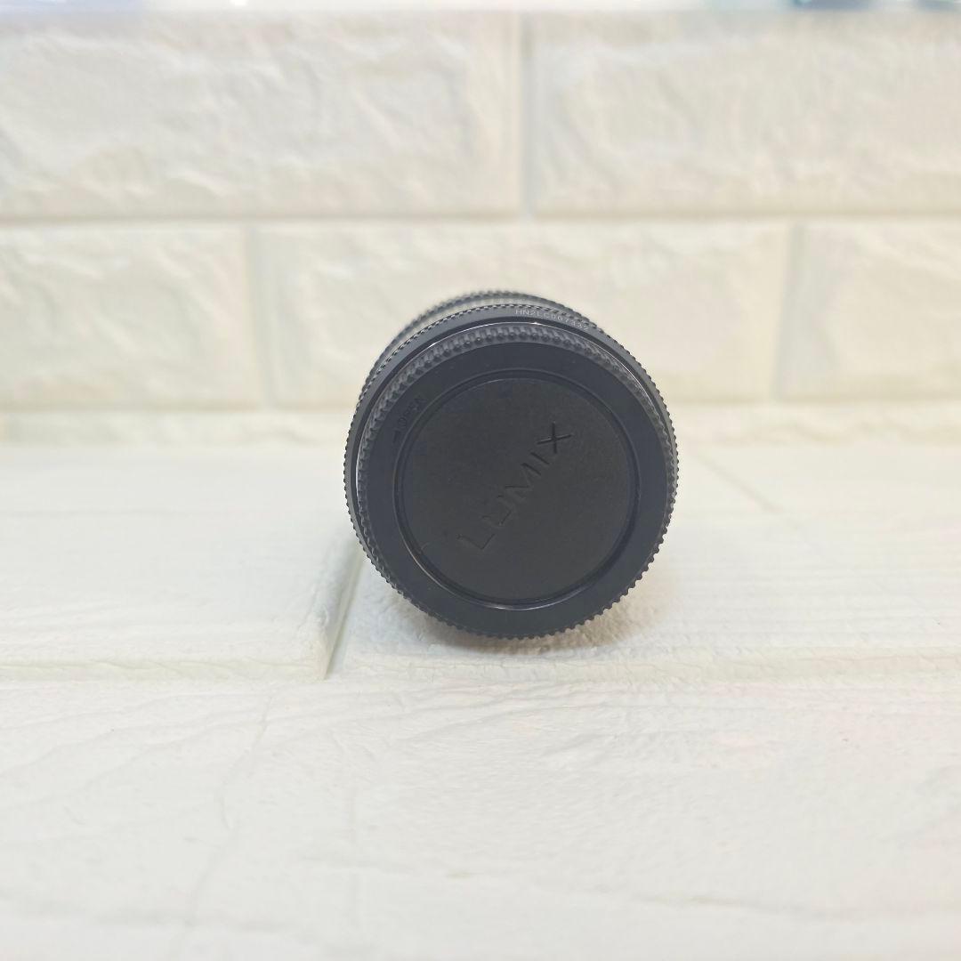 387】Panasonic LUMIX G 45-175mm H-PS45175