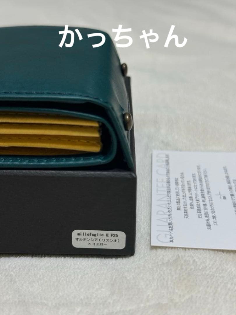 新品　m+ エムピウ　ミッレフォッリエⅡ P25 限定色　オルテンシア