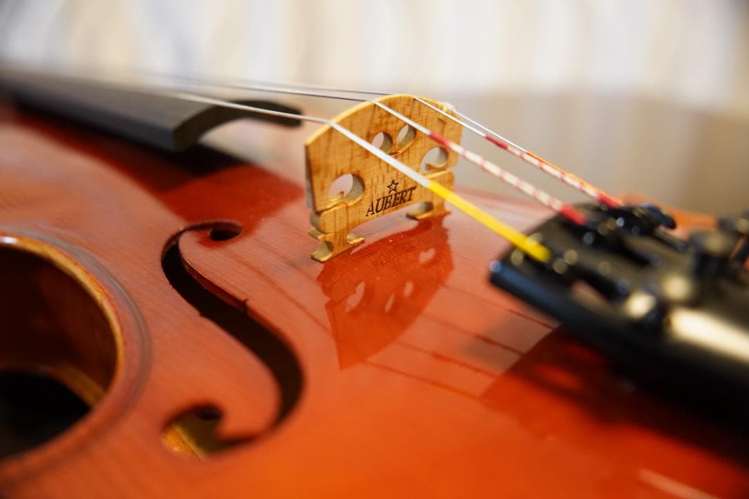 プパ　ローデリヒ ペゾルト バイオリン 803 4/4 ☆5