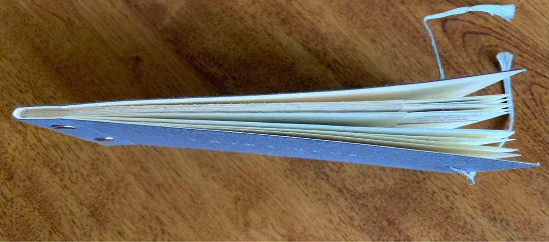 入手不可能！1998レッズ・シーズンチケットホルダー 希少