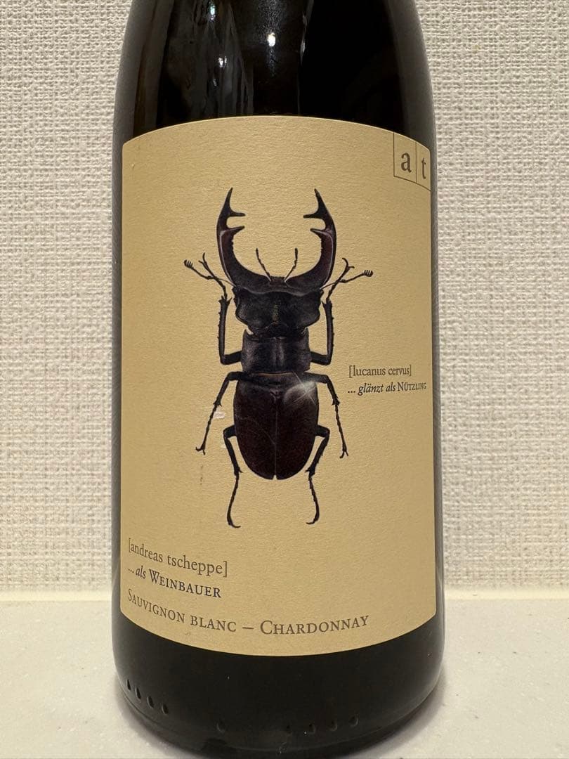 超希少 バックヴィンテージ アンドレアスツェッペ ヘルシュケーファー 2021