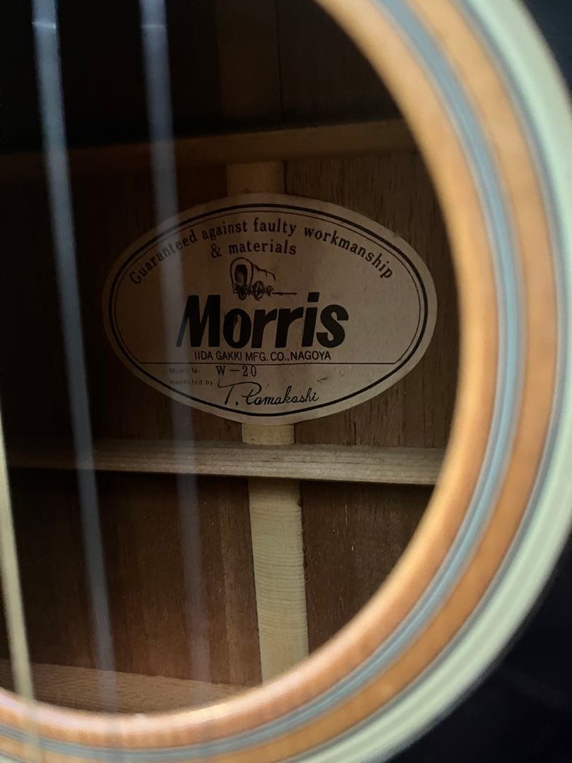 Morris W20 ギター アコースティックギター モーリス