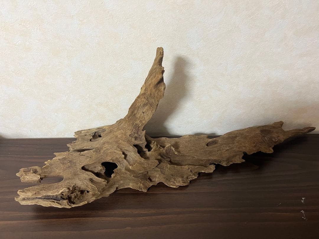 XM-363 ブランチウッド　流木　マシンガンウッド　アクアリウム　爬虫類