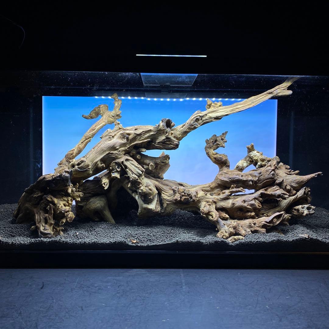 MSW-6439 /90cm水槽用天然流木　2本セット　枝流木　アクアリウム