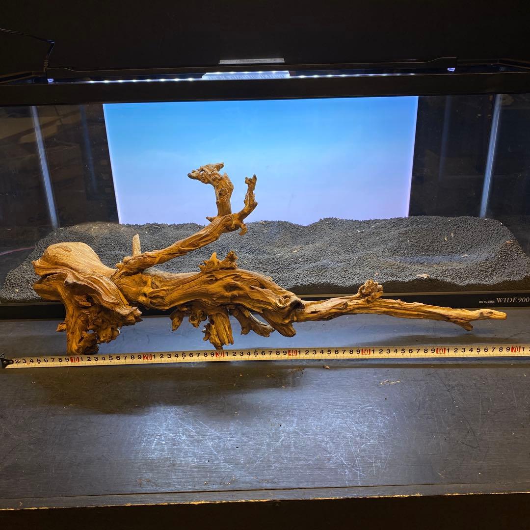 MSW-6439 /90cm水槽用天然流木　2本セット　枝流木　アクアリウム