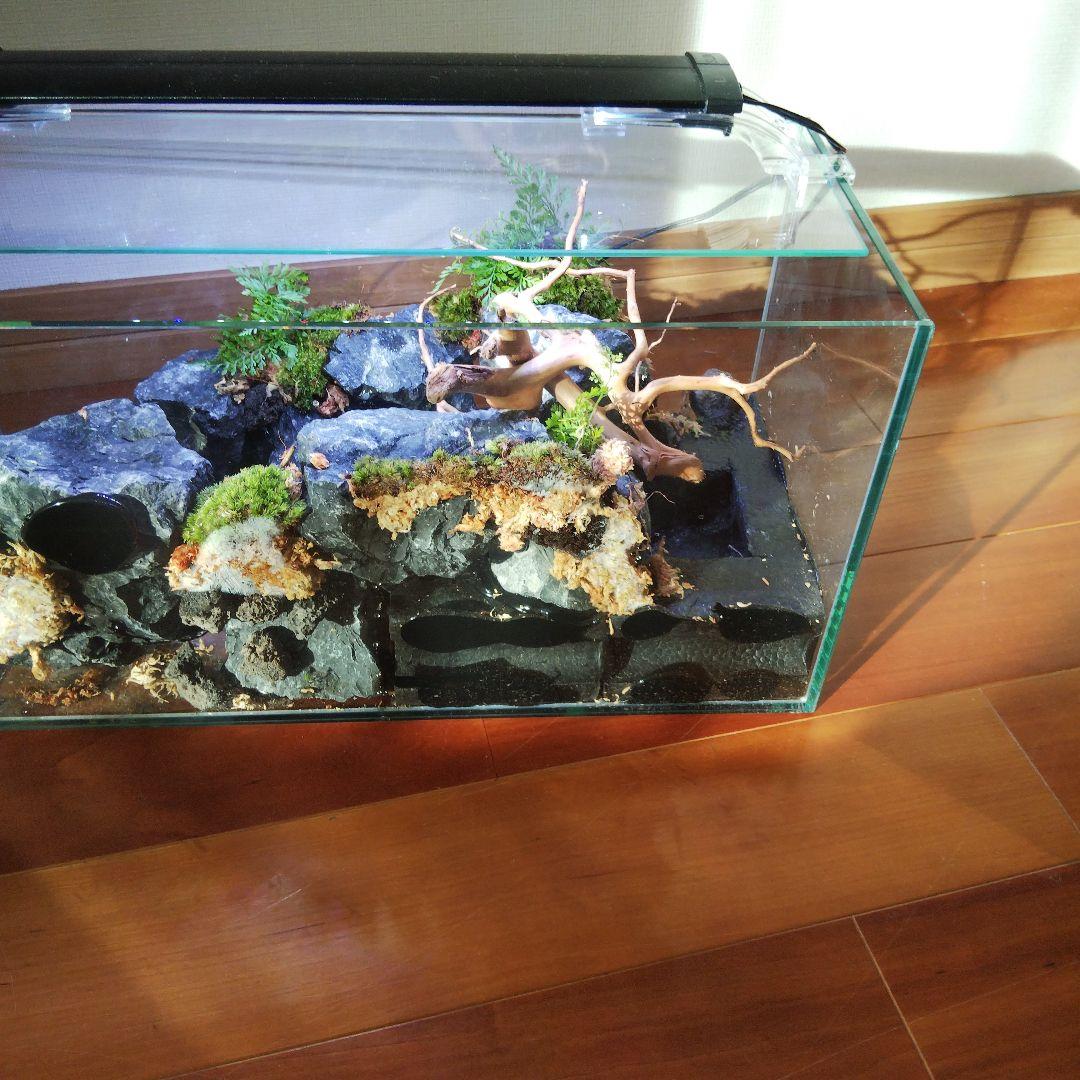 【受注生産】横から見るアクアテラリウム
