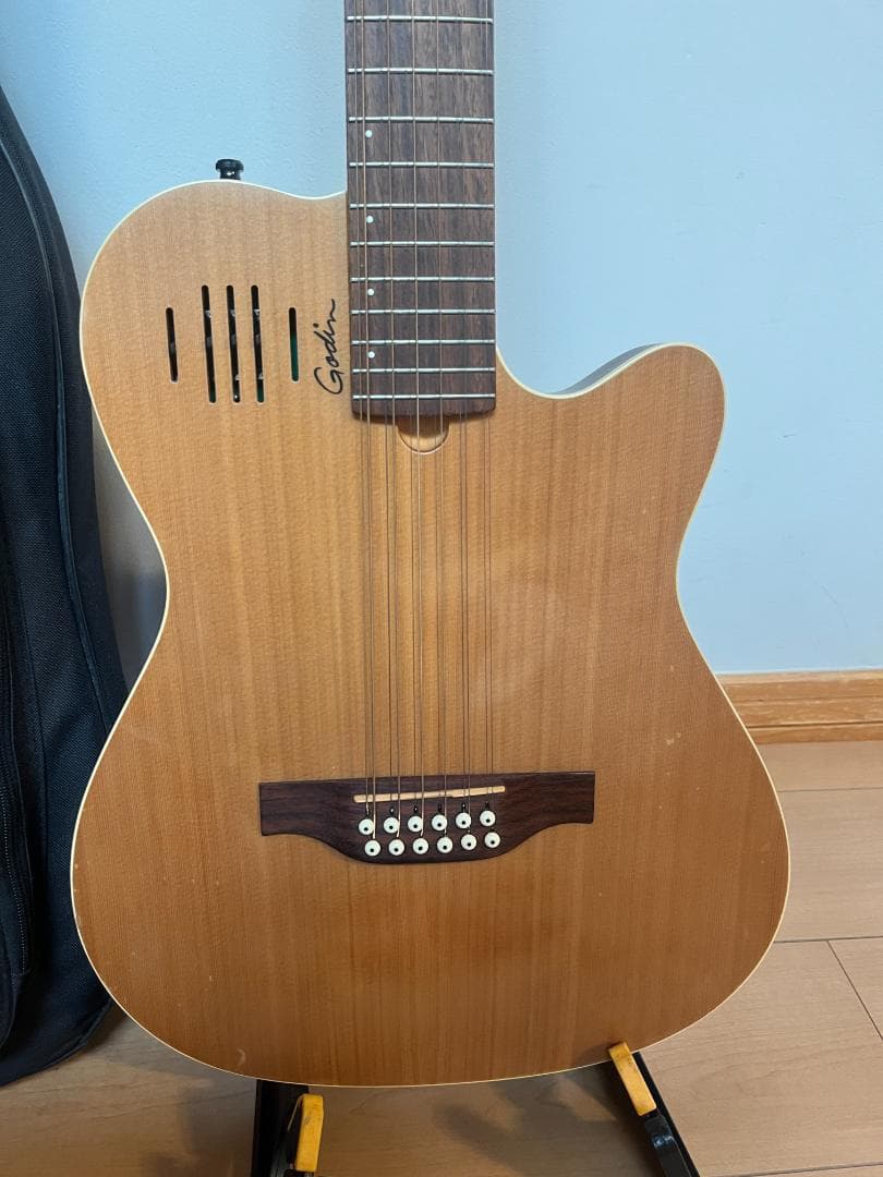 GODIN　ゴダン　アコースティックギター　A１２　１２弦ギター　エレアコ