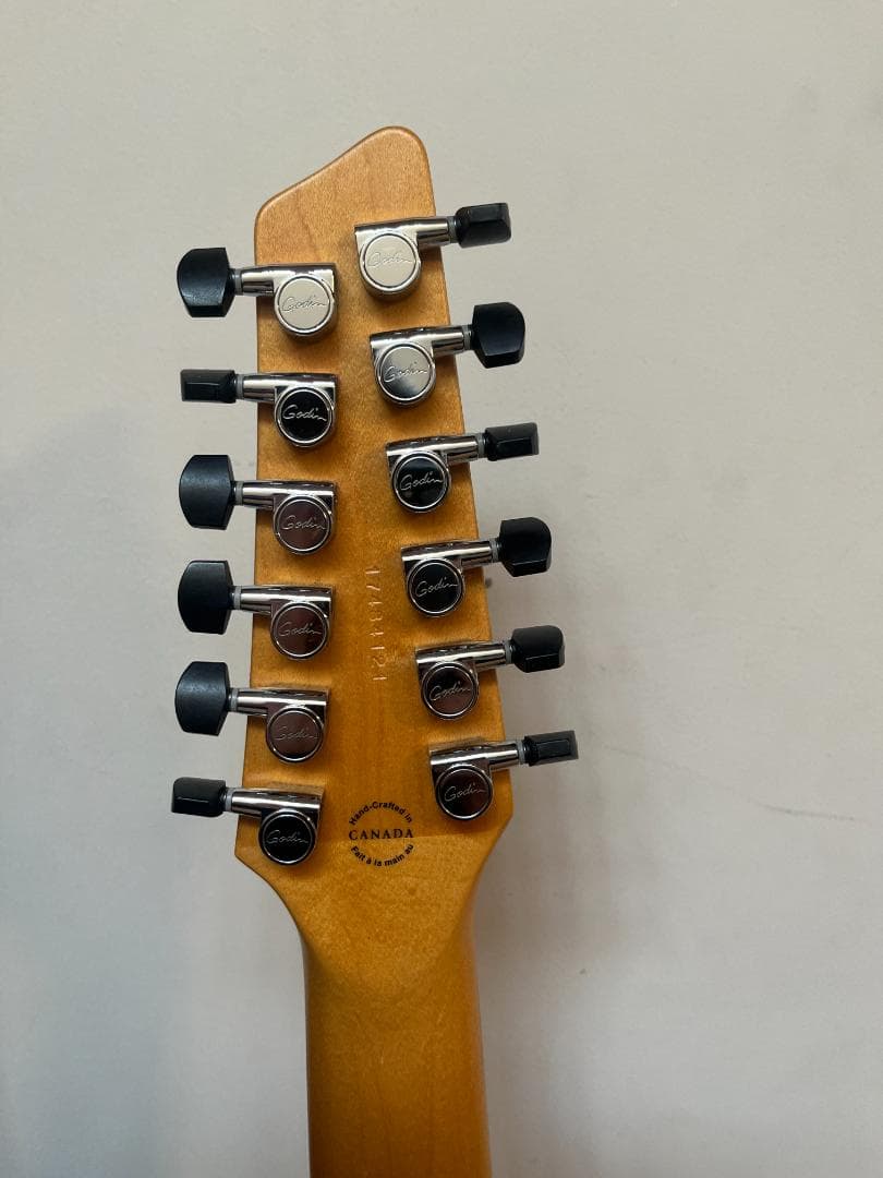 GODIN　ゴダン　アコースティックギター　A１２　１２弦ギター　エレアコ