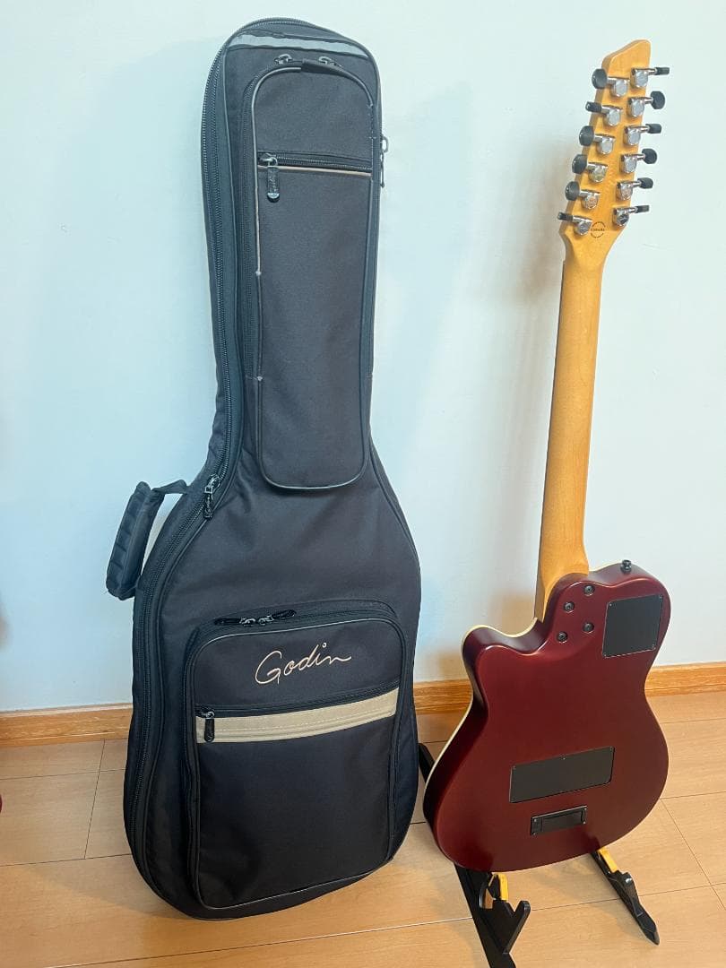 GODIN　ゴダン　アコースティックギター　A１２　１２弦ギター　エレアコ