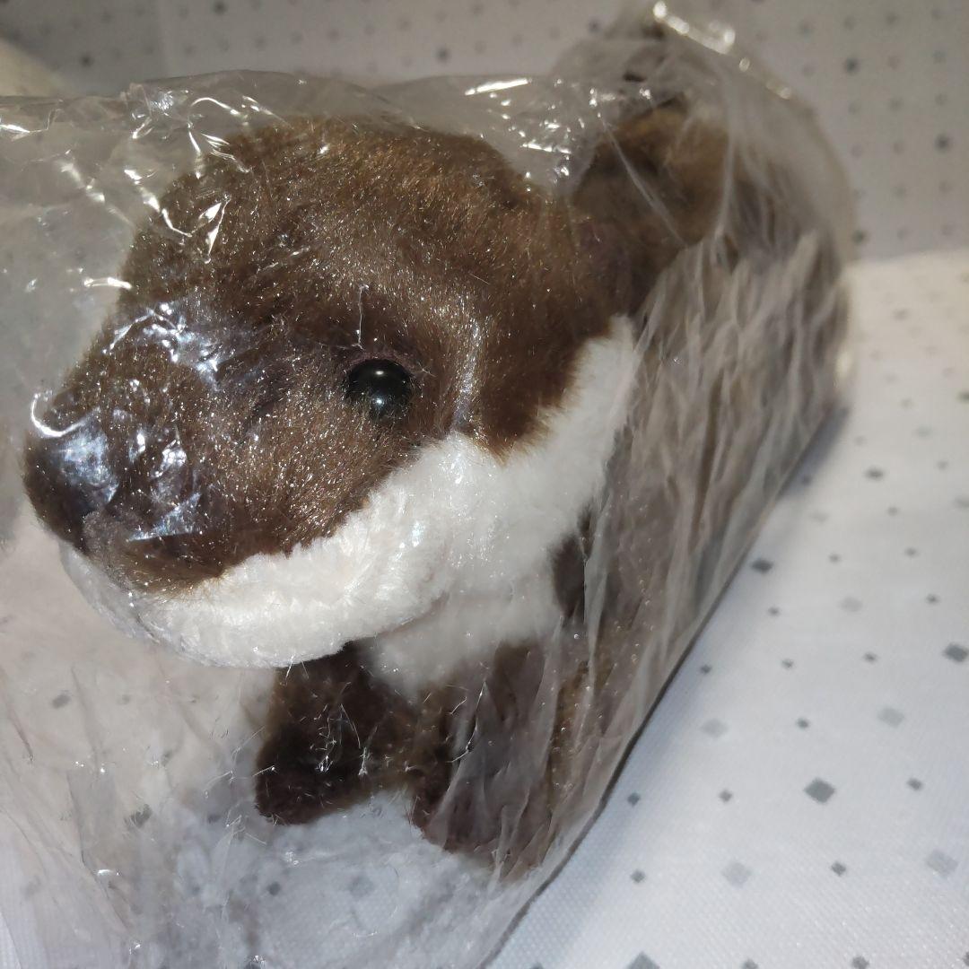 サンレモン カワウソ ぬいぐるみ