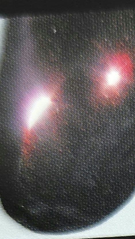 ボム ドープ カスタム