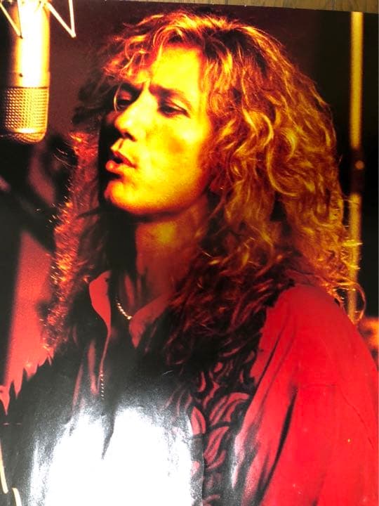 カヴァーデル ペイジ　ツェッペリン　ホワイトスネイク　ポスター　未使用新品