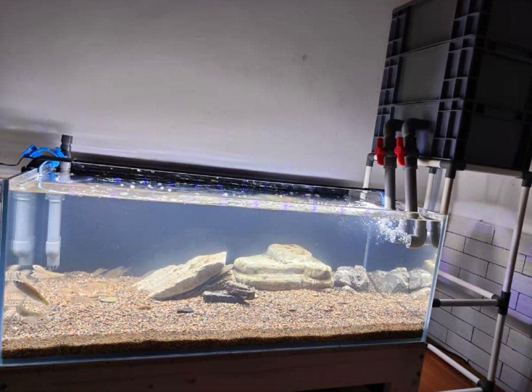 ろ材満タン無料！最安値万能濾過装置、三段式濾過フィルター マットホース送料無料