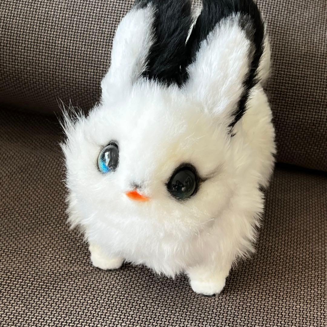 黎*様 作家様（テリトリドール様）アートドール　うみうさ