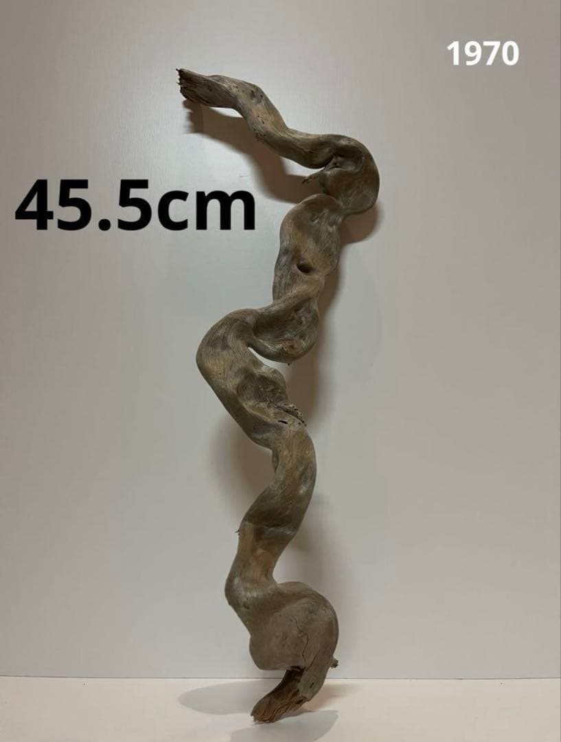 大型　流木【2129】