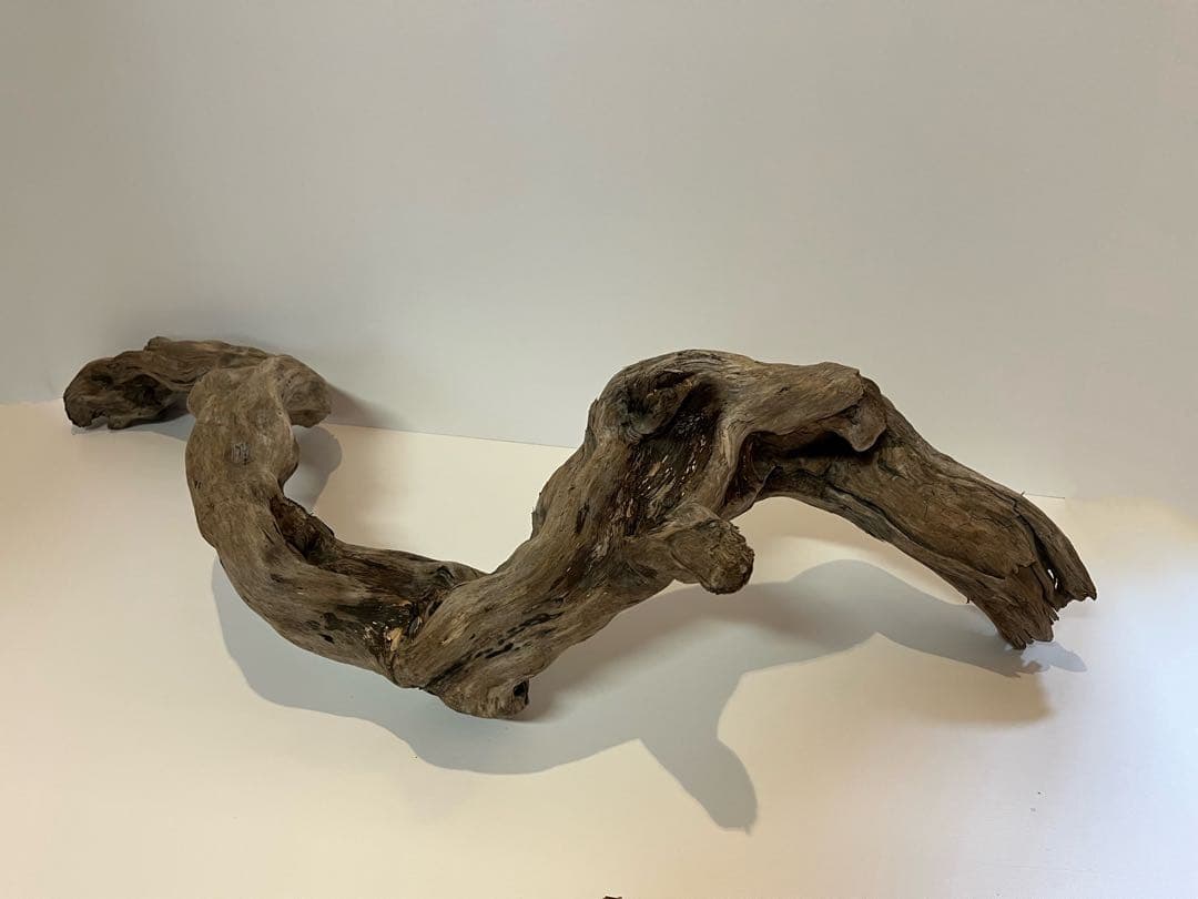 大型　流木【2129】