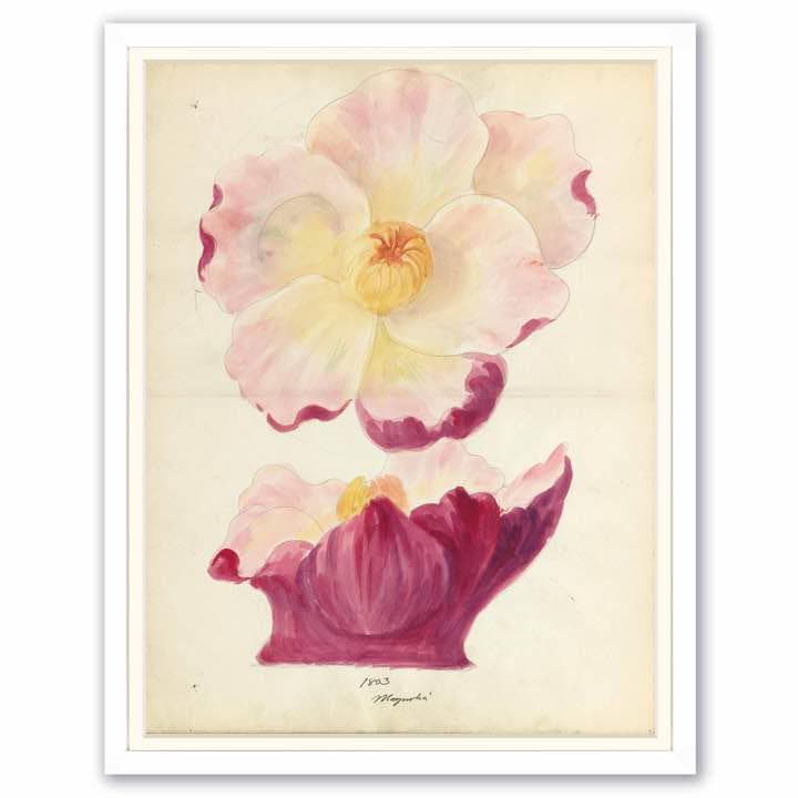 「モクレンの花柄のデザイン画」 【フレームサイズ 32×26cm】