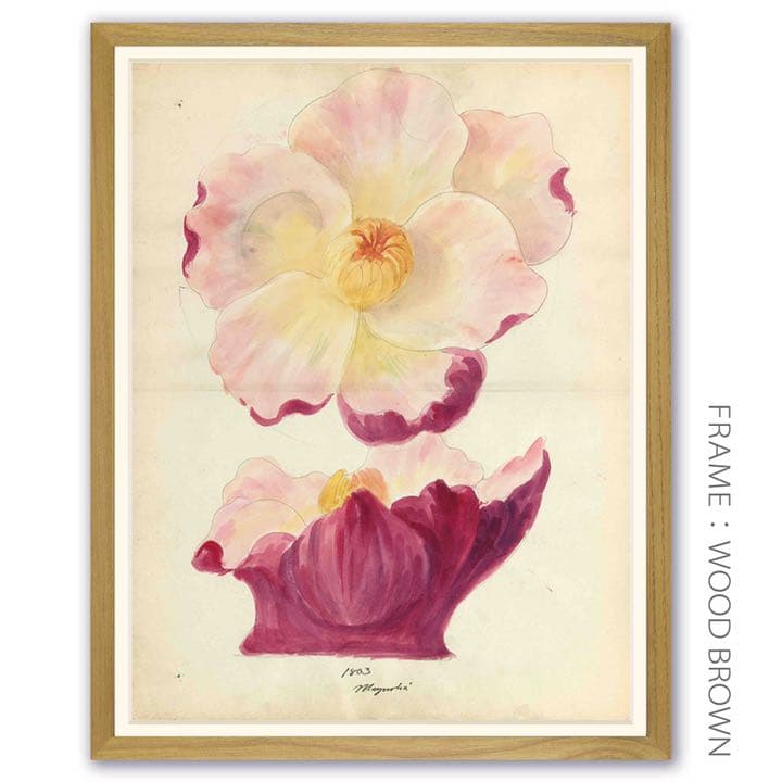 「モクレンの花柄のデザイン画」 【フレームサイズ 32×26cm】