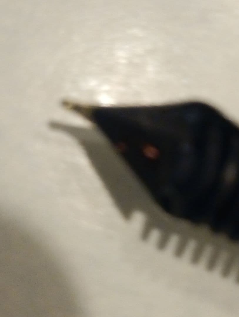 パイロット　ナミキウルシ 20号 ＋　プラチナ万年筆　14Ksmニブ　異種ペン