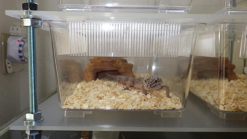 レオパ、ヘビの飼育ケージ　スネークラック