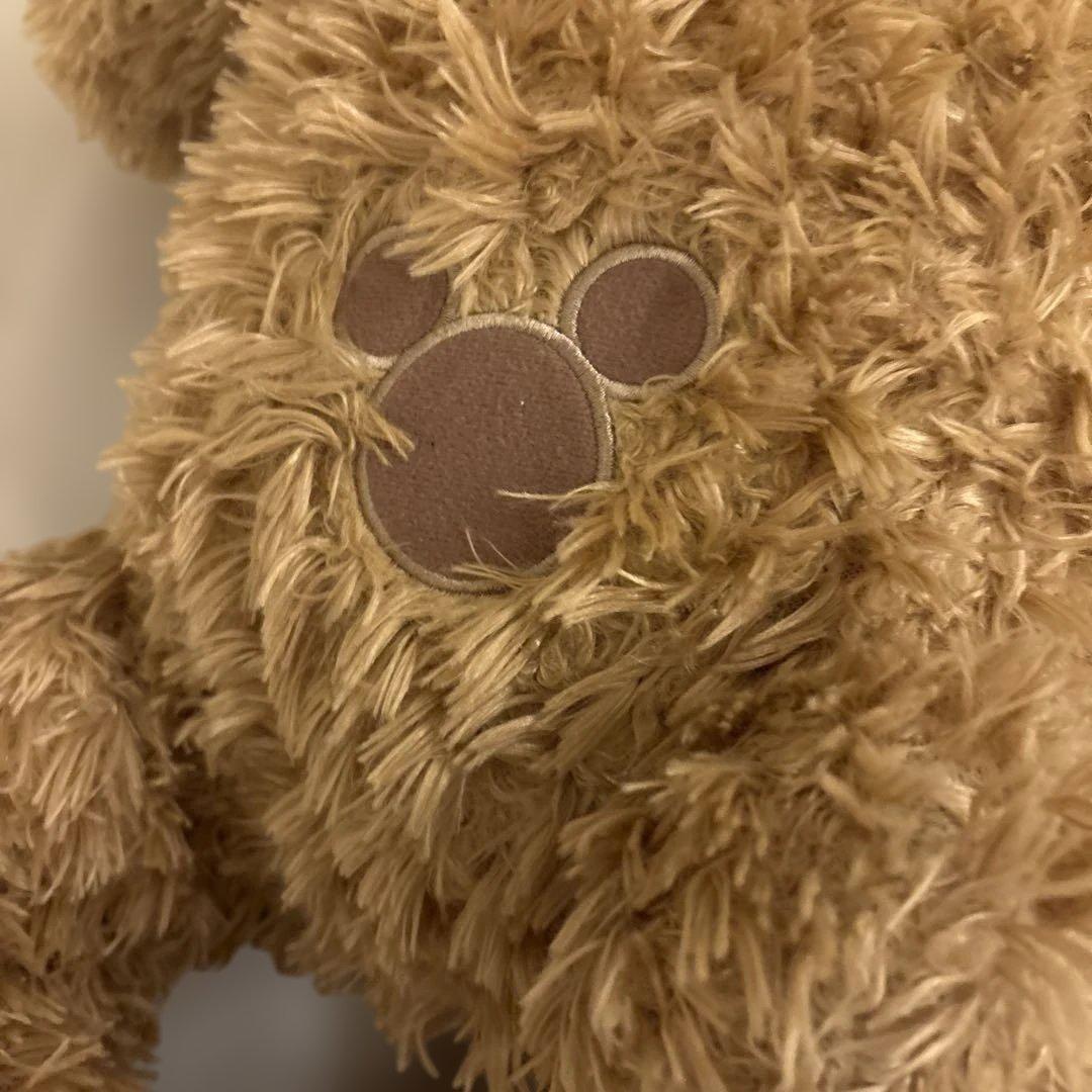 ダッフィー　シェリーメイ　 ぬいぐるみ2体セット