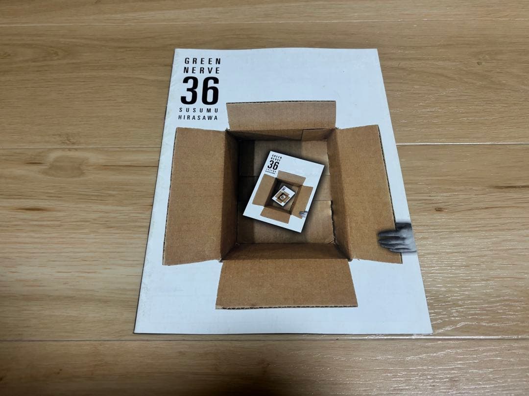 平沢進 GREEN NERVE 会報30,31号,33〜39号