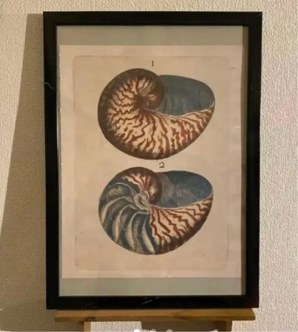 ジョンデリアンアンティークペーパーコレクション②