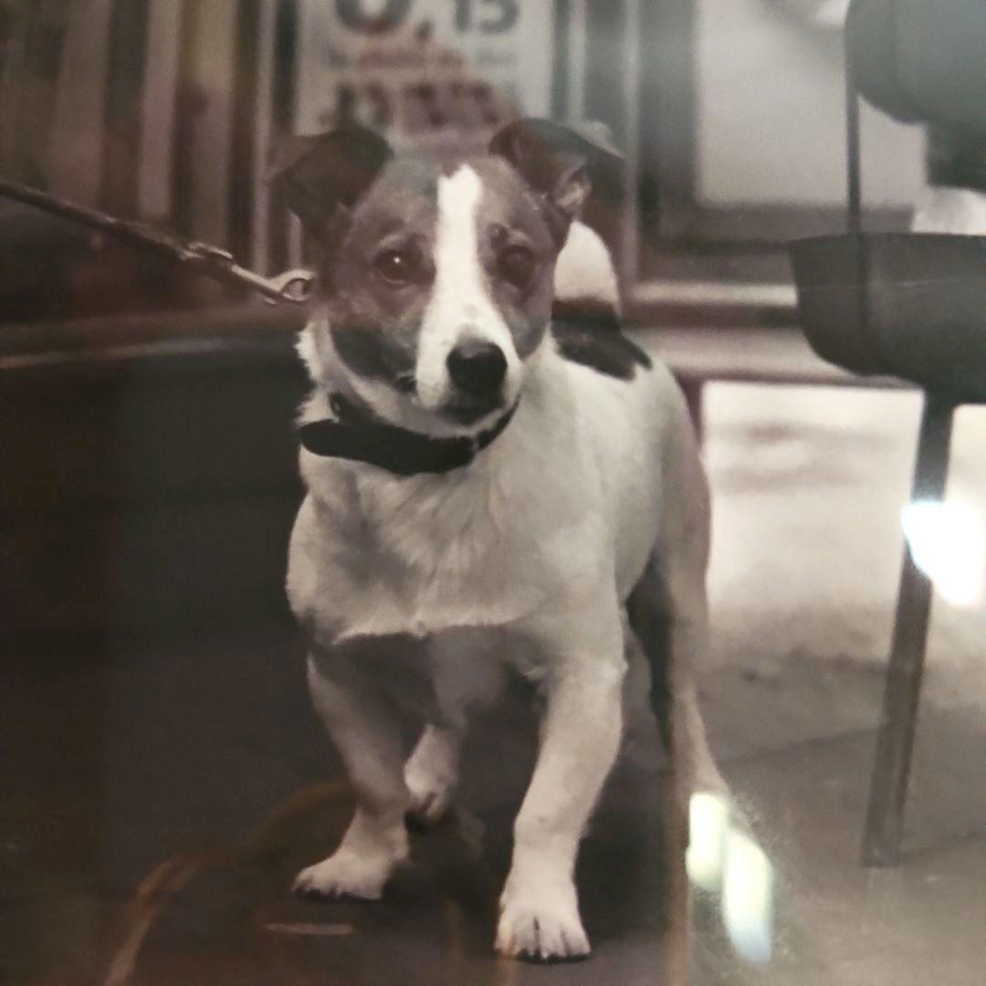 JON ONGKIEHONG 「 PLACE DE COSTA RICA」アート