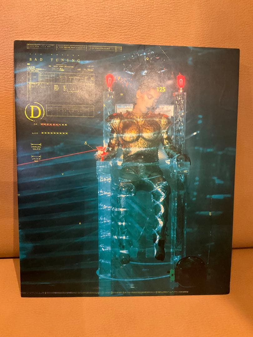 【当時物】　沢田研二　早川タケジ　薄型パネル　2枚組。