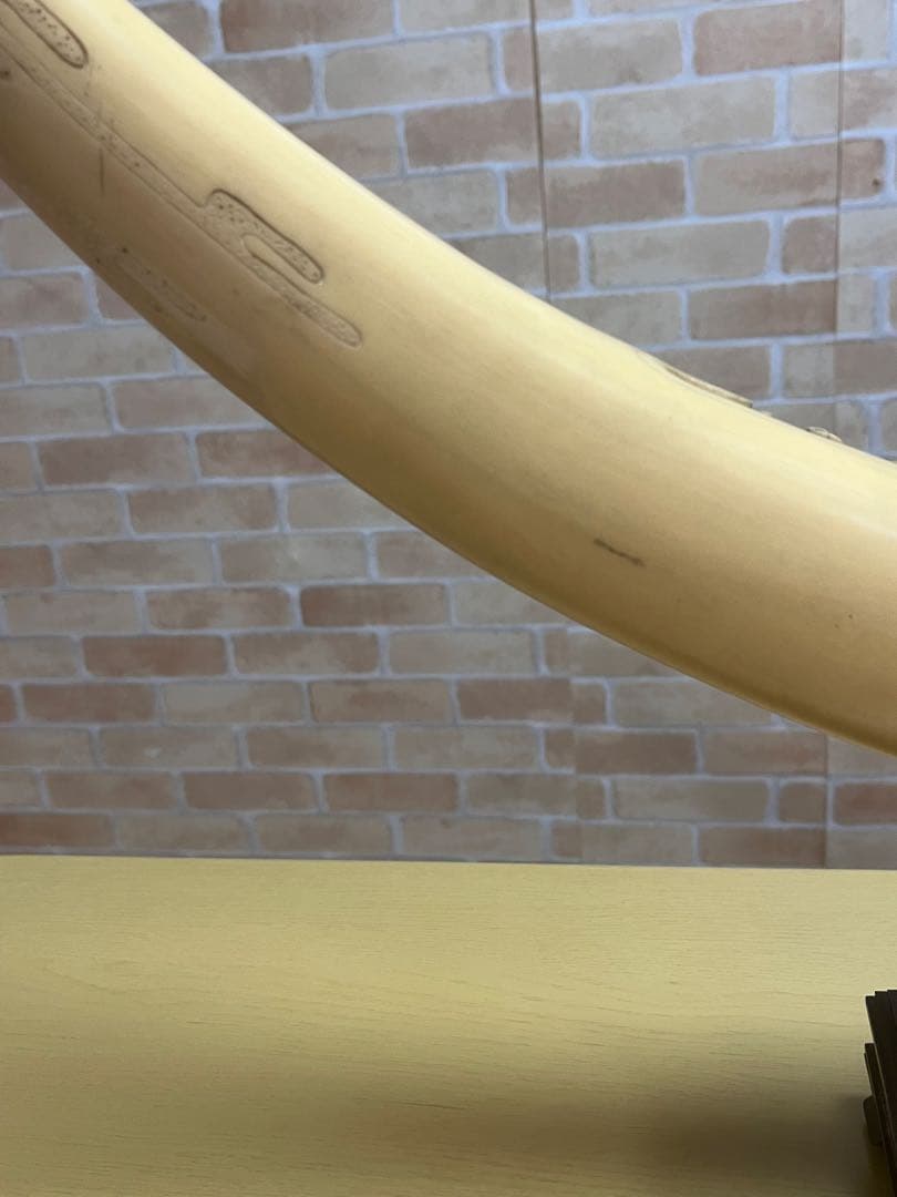 一本牙　象牙風レプリカ　置き物　長さ約81cm 置き台付　樹脂か練り物