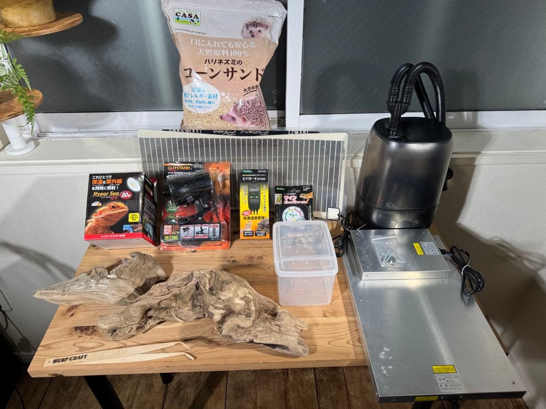 爬虫類　飼育セット　フトアゴ　リクガメ