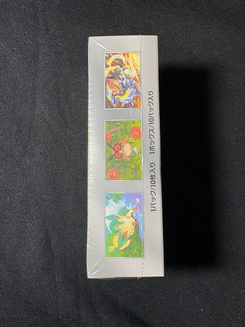 テラスタルフェス ex シュリンク付き