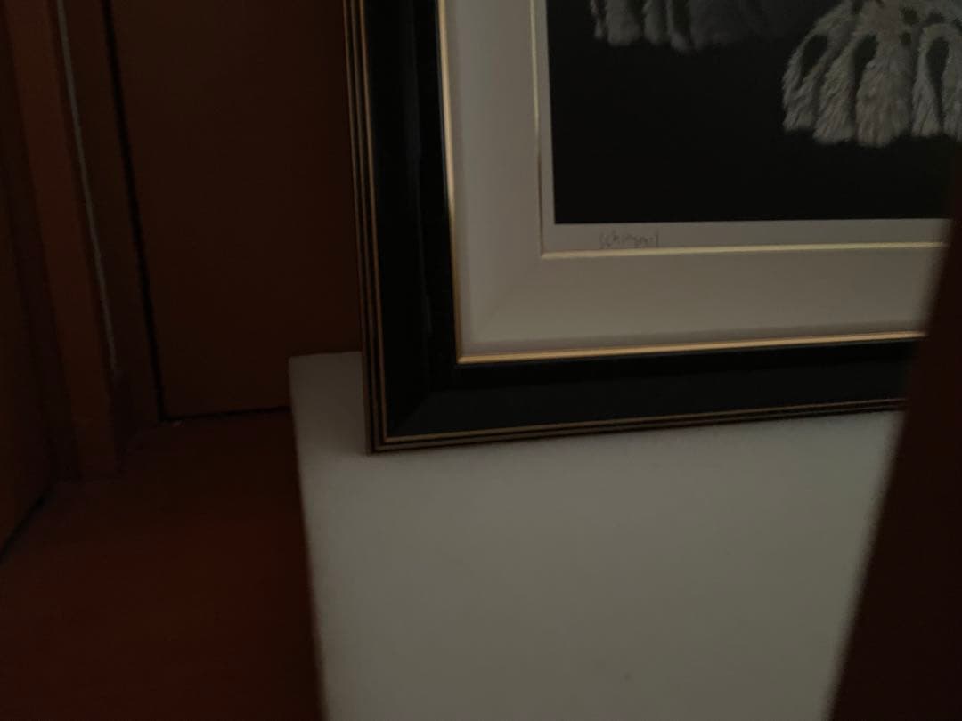 シムシメール 夢にとどく日 版画 絵画