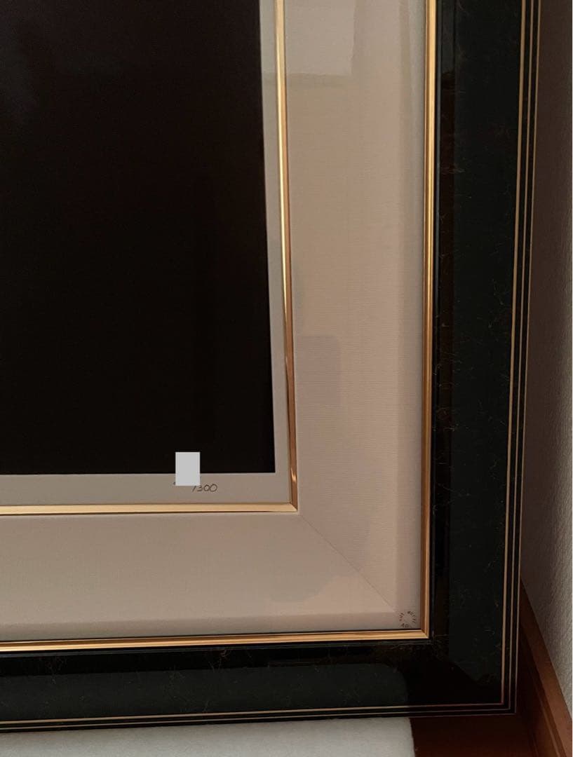 シムシメール 夢にとどく日 版画 絵画