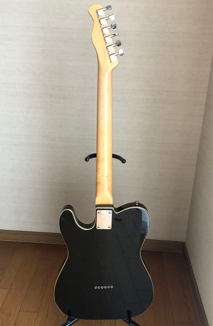 Bacchus テレキャスター ダブル バインディング　BTC-1R BLK