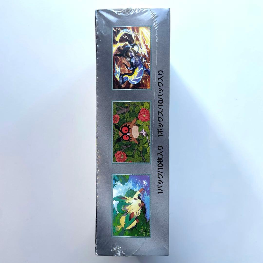 ポケモンカード　テラスタルフェスEX シュリンク付き