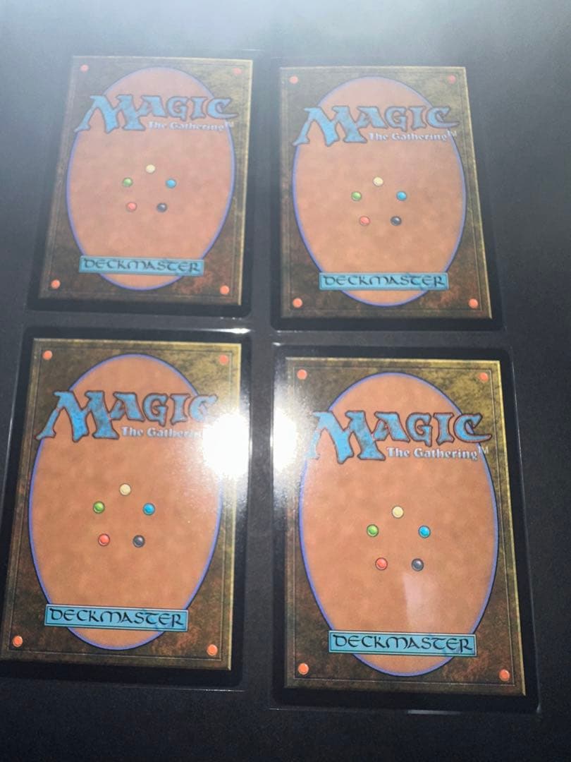 霧深い雨林/Misty Rainforest