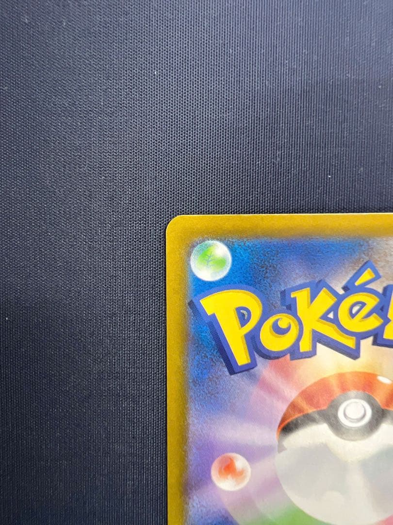 【ポケモンカード】ルチアのアピール SAR 楽園ドラゴーナ 091/064