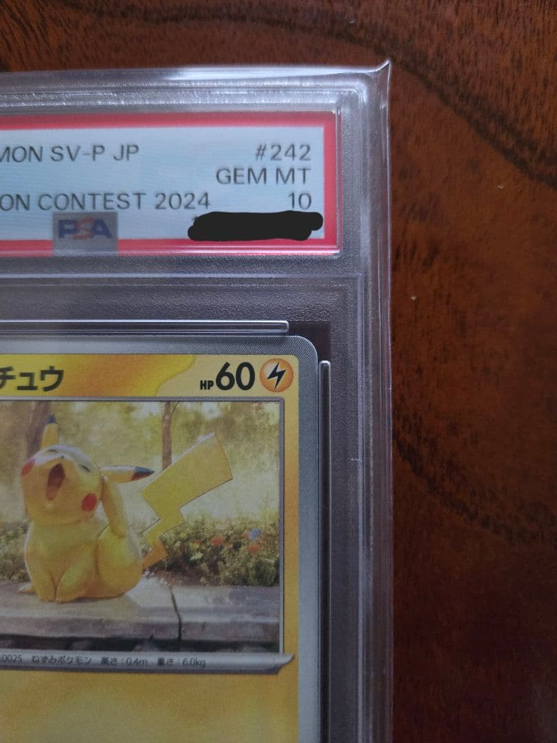 【PSA10】ピカチュウ SV-P イラストレーションコンテスト 2024