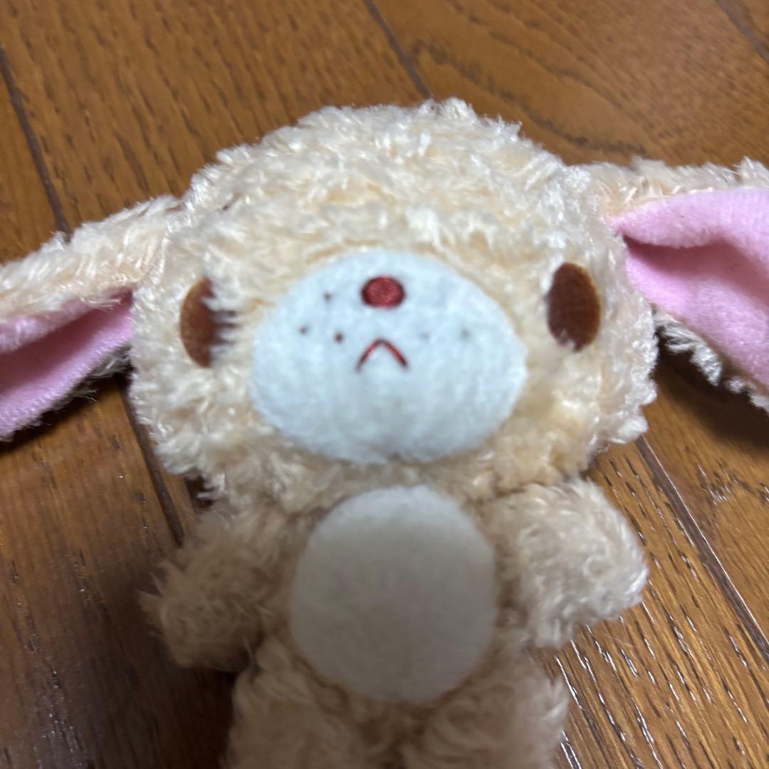 シュガーバニーズ　ラテウサ