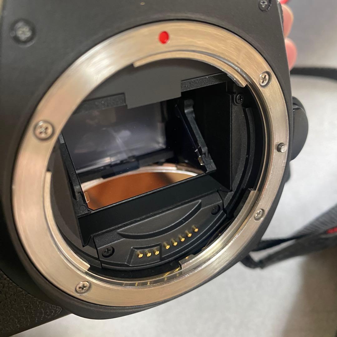 canon 6DMark 2 本体　バッテリー　ストラップ