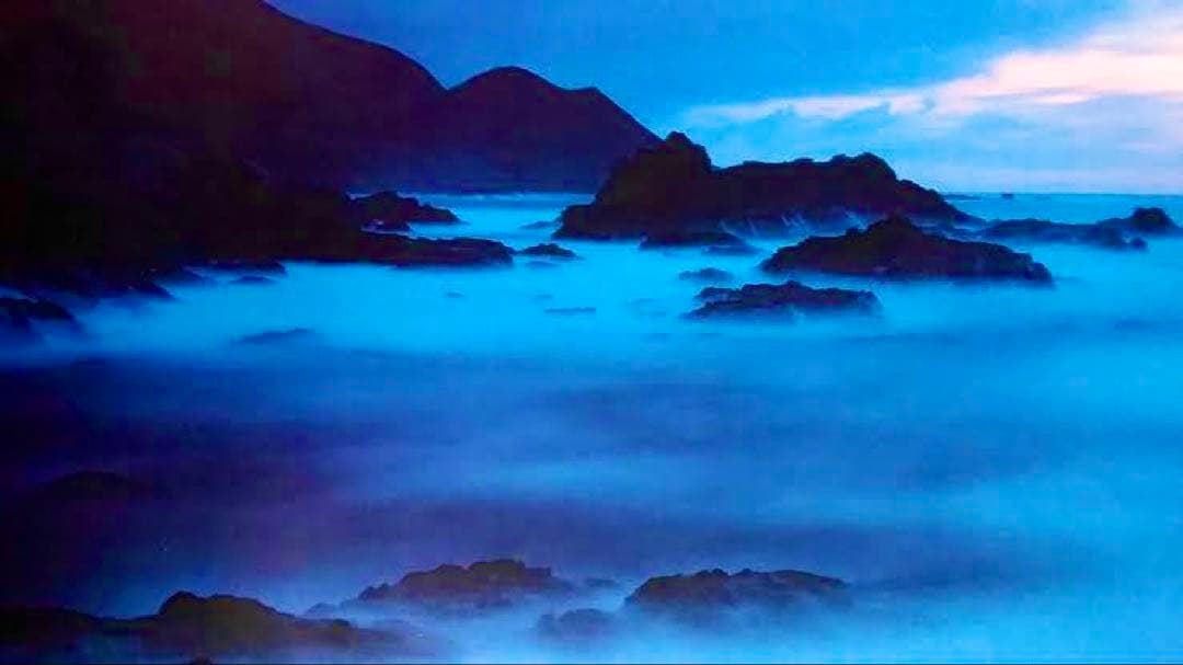 Bob Talbot 1992s Original Vintage