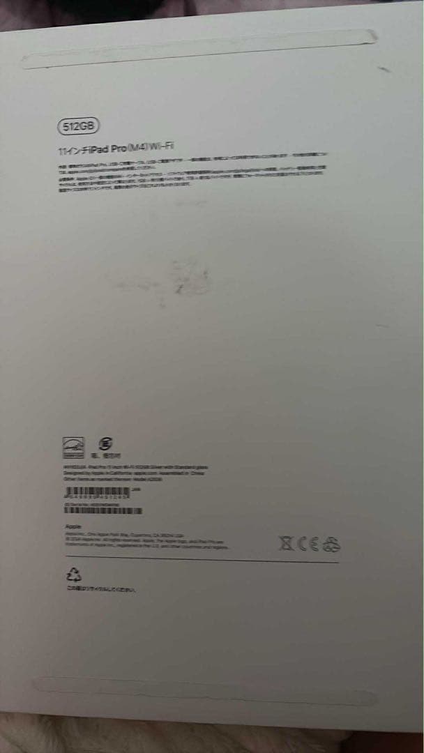 Apple iPad Pro 11インチ シルバー 本体